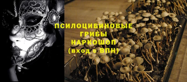 мет Коряжма