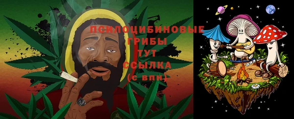 мет Коряжма