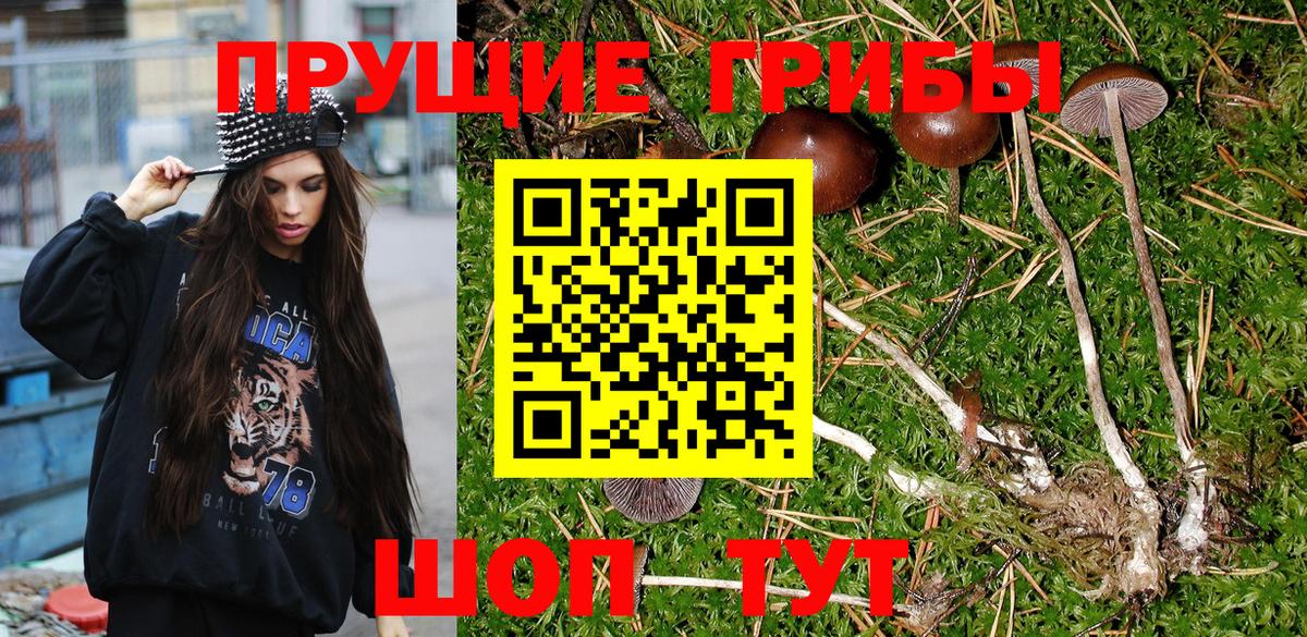 Псилоцибиновые грибы GOLDEN TEACHER  Вход с VPN  Псков 